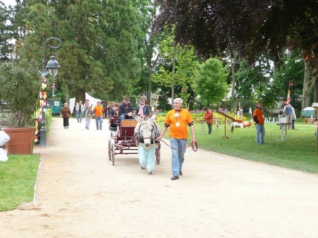 rodho 2013 (91).jpg